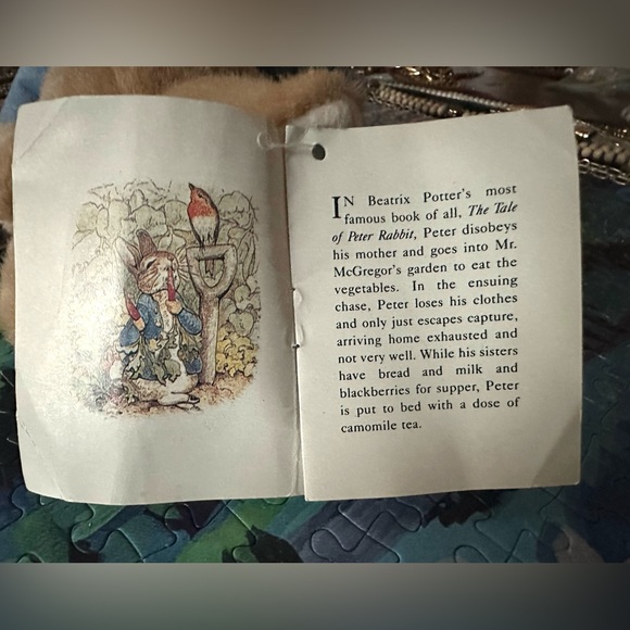 WOW!PRICE Drop Beatrix Potter Peter Rabbit Fully Jointed/METAL buttons 11.5" - Picture 11 of 14